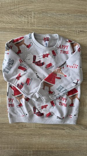 Pull Garçon 4 Ans Gémo 2 - Vue de face