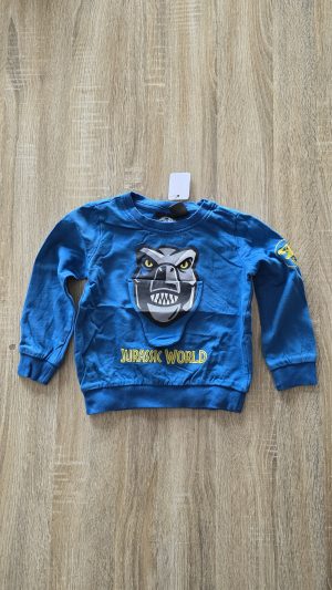 Pull Bleu Garçon 3 Ans Jurassic world - Vue de face