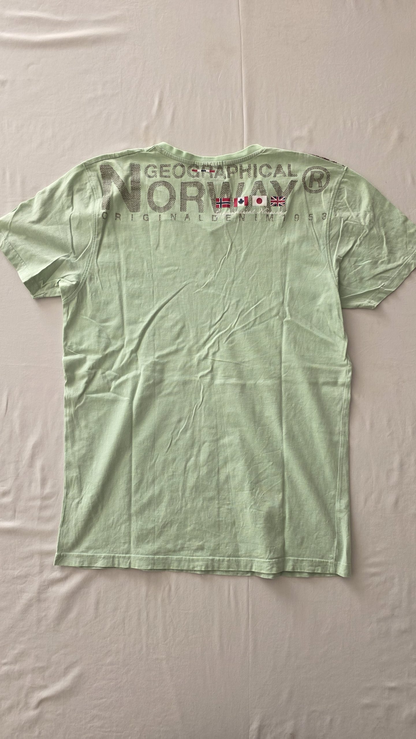 T-shirt T-shirt Vert Garçon XL Norway - Vue de dos